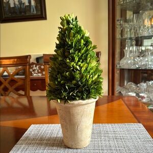 Decorative Green Topiary in Stone Pot
